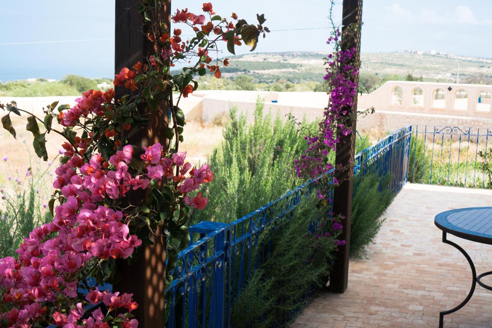 Villa Habibi เอสเซาอิรา ภายนอก รูปภาพ